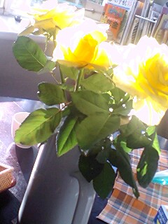 �Ăѐ�������ق���