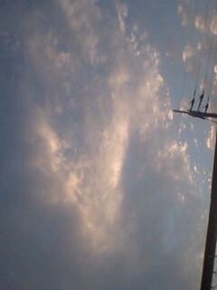 ���̎�̂Ђ�͖l���D�ɂ��邽�߂ɂ���񂾂낤