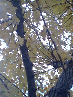 �l������Ȃ炵�����Ƃ�