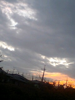 ��W�������Đ��ɉ��