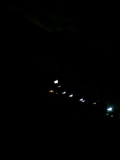 �V�[�C���O