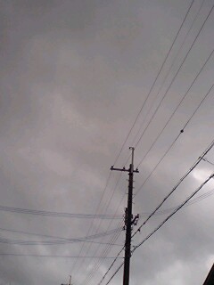 ���̒��ŌĂ񂾁A