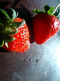 �l������������