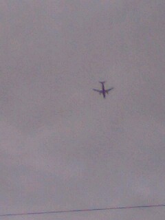 ���ł����ƒN����������