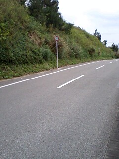 �����l�������삯��������