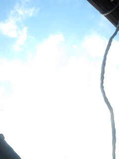 ��D���Ȕw����