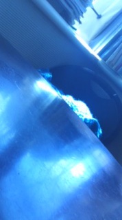 �N�ɂ������Ȃ�