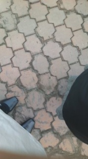 �����Ă�