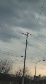 �����肤�΂��肾�����