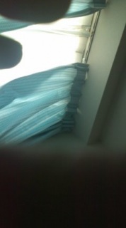 ���O�������邱�Ƃ΂�����ɂȂ��āA���݂��ĂԂ��Ƃ�Y��Ă���