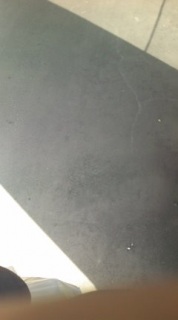 �l�͂����ŋ���