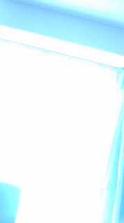 �Ђ��܂�̌�����