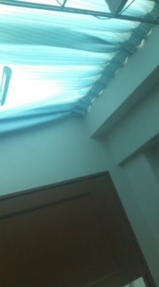 ����߂������