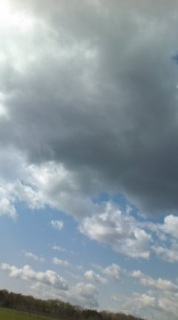 ����Ă���̂�