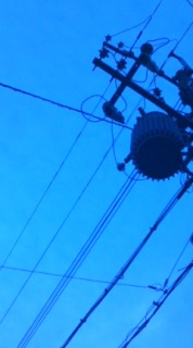 ����߂��̉�