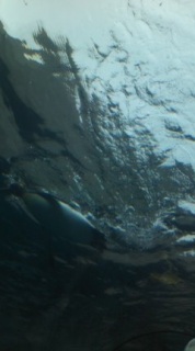 �I������I