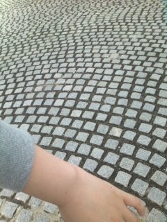 ����ɂ��Ȃ�Ȃ� �c��΂̂悤��