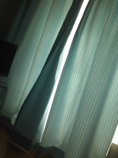 �w�\���̓��}�����^�Ԃ̂��I