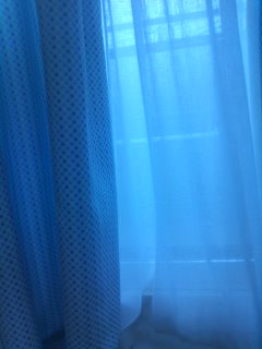 �N�ɉ����