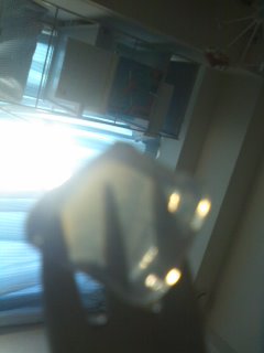 �C�����Ƃ͌��킷���̂�