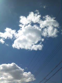 �̂�����܂�